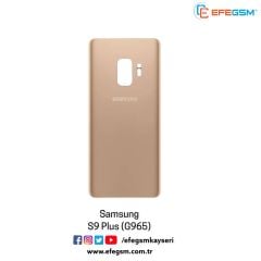 Samsung S9 Plus (G965) Arka Kapak Gold
