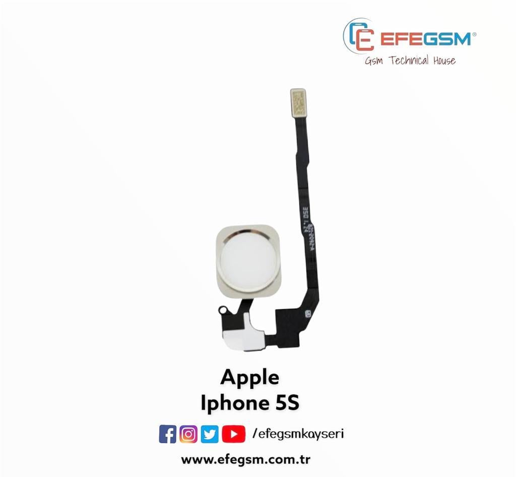 Iphone 5S Home Tuş Gold