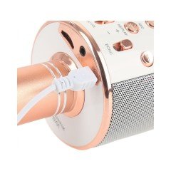 Wster WS-858 Bluetooth Karaoke Mikrofon Gold