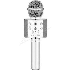 Wster WS-858 Bluetooth Karaoke Mikrofon Gold