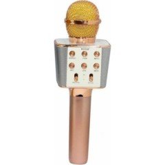 Wster WS-858 Bluetooth Karaoke Mikrofon Gold