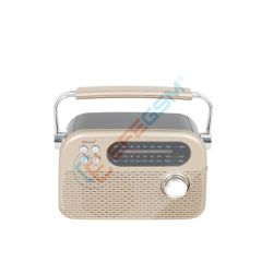 KBroad KTF-2026 Müzik Çalar Gold