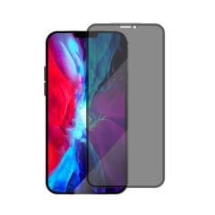iPhone 13 Hayalet Anti-Static Ekran Koruyucu