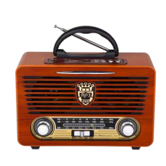 EVCHE EC-2139BT Nostaljik FM Radyo