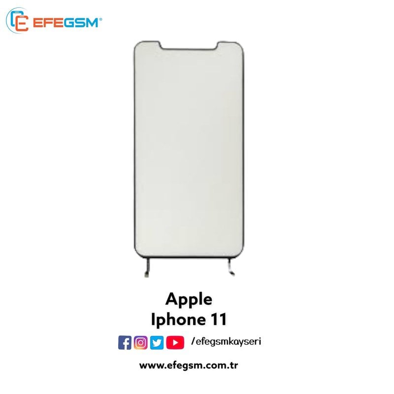 Iphone 11 Back Light