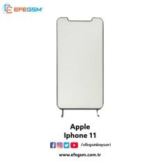 Iphone 11 Back Light
