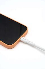 Borwon BW-01 Type-c To Type-c Usb Kablo